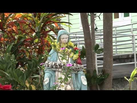 The City of Hilo Hawaii