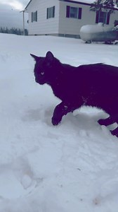 Rusty Bucket Hobby Farm on Reels