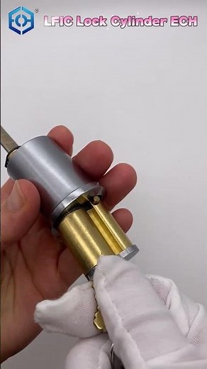 Brass Removable Large 8-shaped American Standard LFIC Large Format IC Core Lock Cylinder