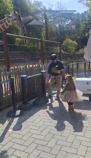 The cutest giraffe at the zoo | Kim Hardiman Belk