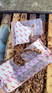 4.7K views · 44 reactions | Feeding bee hives   琽琊  ...