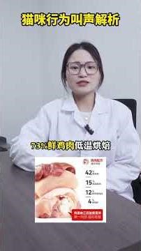 Is the Cat Empress Lying Down? Discover the Truth Behind Feline Resting Positions Novice c