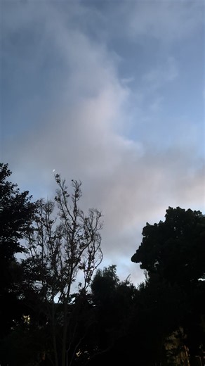 I like this side of TikTok… #aesthetic #peace #cloudy #fyp #viral
