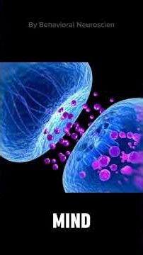 The Neuroscience Behind "Person Addiction" #psychology