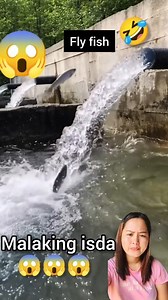 537K views · 2.6K reactions | Isda lumipad pabalik sa loob BAKIT ? #fishing #follower #flyingfish | Judy An Judilla | Facebook