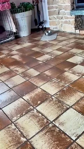 Nachdem Training kam sie wieder ins Haus , aber war noch unsicher. #tierschutz ##dog #adoptdontshop #tierschutz