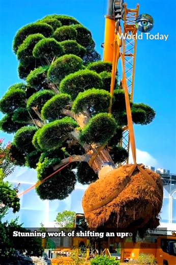 Incredible and amazing works - 12 | World Today