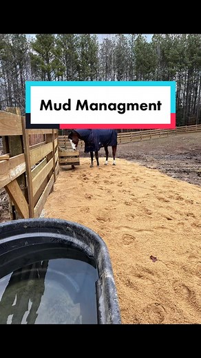Effective Mud Management Solutions for Horse Farms