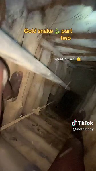 #metalbody #gold#everyone #goldenretriever #9000klikes #foryou #FYP #viral