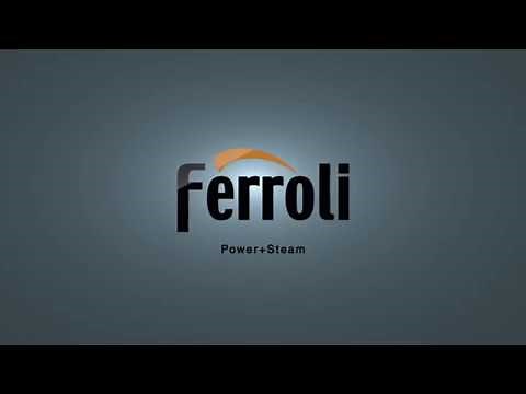 Ferroli Power and Steam