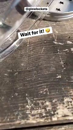 158K views · 1.1K reactions | I gently caught this little female...