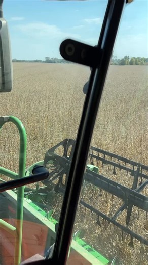 SOYBEAN HARVEST ON OUR BIGGEST FIELD #shorts #harvest25 #farming #johndeere | Model Deere Farmer - AF Customs