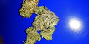 Purple Sherbet | Marijuana Strain Reviews