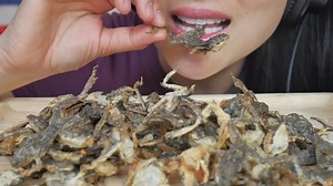 ❤️SAS❤️ on Instagram: "ASMR EATIGN SOUNDS. Extreme crunch. These fried frogs taste like salt and pepper chips!! No joke! Haha full video on YouTube. Link in bio👆🏻. Do you have these in your country? #asmr #asmrsounds #asmrfood #frogs #friedfrogs #fried #crunchy #snack #strangefood #youtube #youtube #youtubevideos"