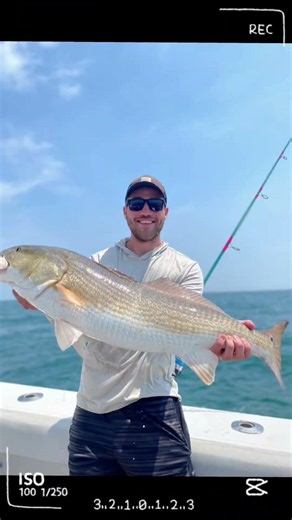 We Catch it all! Book your trip with Knot Tell'n Fishing Charters #fishingvacation #fishingdaily