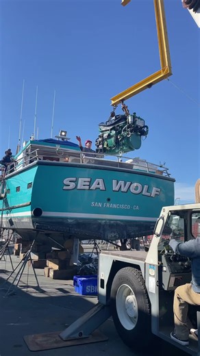 Seawolf is getting her life back!!