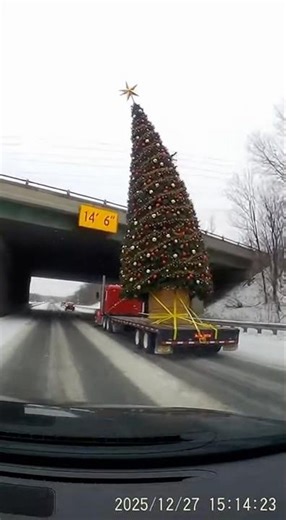 Giant Christmas Tree vs Bridge—Total Destruction #dashcam #fail