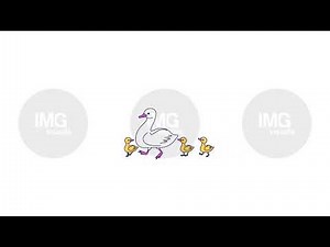 Mother goose with little goslings walking 2D characters animation