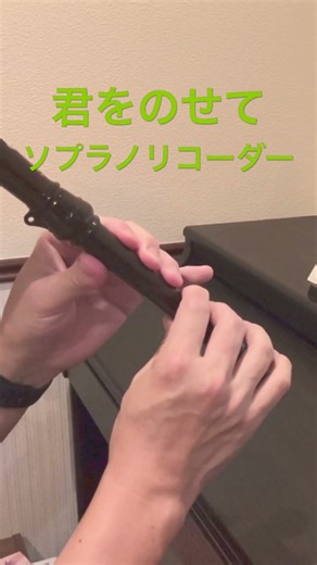 【ソプラノリコーダー】君をのせて｜天空の城ラピュタ｜リコーダー演奏