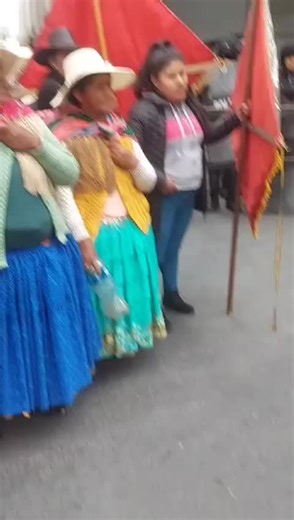 Public Demonstration: Unity in Diversity Unveiled