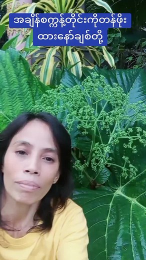 #DN natural cosmetic