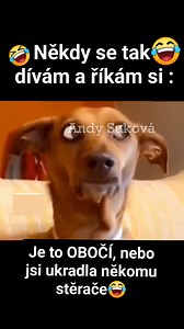 78K views · 763 reactions | 藍 #humor #sranda #funny #viral #comedy | Andrea Suková | Facebook