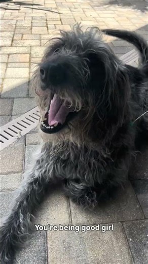 FREE ECHO wrongfully jailed for protecting fam from vicious squirrel squad