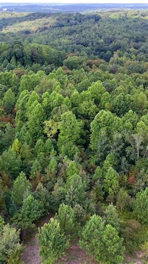 5.1K views · 25 reactions | For $70k, You Can Own 3 Acres of Land in...