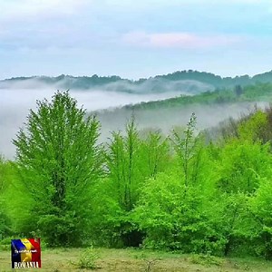 50K views · 3.8K reactions | Te iubesc mult România on Reels | Facebook