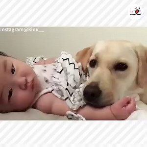 840K views · 72 shares | Dogs and kids are best friends. | PECO | Facebook