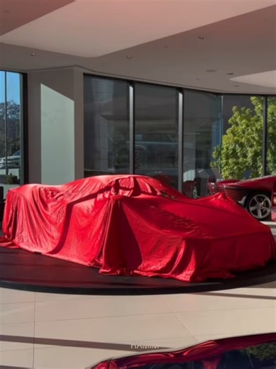 #hamim #viral #trending #Ferrari #capcut