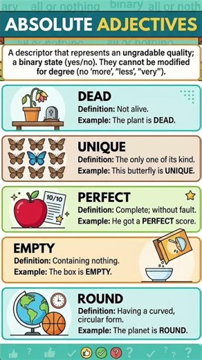 What are Absolute Adjectives? مڪمل صفت ڪھڙا آھن؟ #Absolute #Adjectives #grammar #english #learning