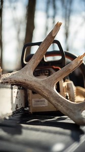 262K views · 2.4K reactions | What do shed antlers tell us about the health of a particular deer? Kip Adams of National Deer Association explains the parts of a shed antler that give us warning signs to a buck’s health. Enter your photos by using #ShedRally or at the link for a chance to win! | https://bit.ly/41EZgq9 #shedrally National Deer Association | Whitetail Properties | Facebook