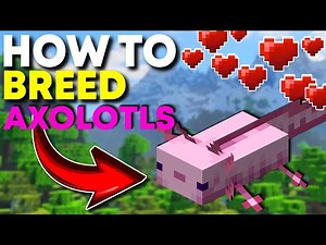 How to Breed Axolotls in Minecraft - Java, Bedrock, MCPE (Quick Guide!)