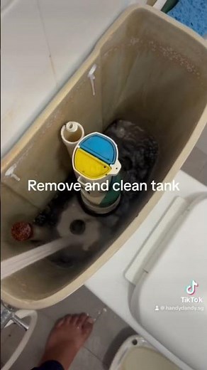 Leaking toilet wc cistern valve replacement . #plumbing