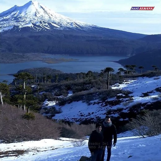 Chile 4k Video Parque Nacional Conguillio Volcán LLaima Vista Aérea Drone Temuco #travel #nature