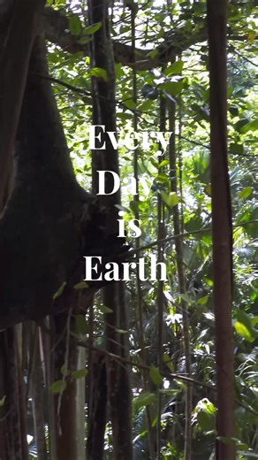Bermuda: A Sustainable Way of Life Celebrating Earth Every Day