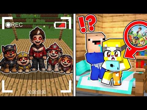 2 Noobs GRABAN y CAPTURAN a los PAW PATROLL.EXE con una CAMARA OCULTA en Minecraft