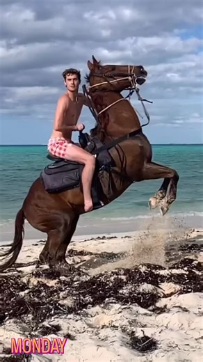 The most dangerous thing a horse can do when your not expecting it  | Josh Lee Knight | Facebook