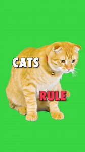 brand new episode of puff maddy is not out. we made edibles! Catch it! | Maddy Smith