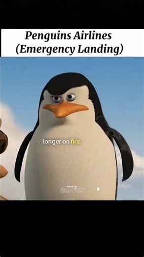 Penguin Airlines 🔥🐧 | Madagascar Escape 2 Africa #edit #movie #shorts #viral