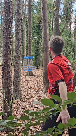 Where did that branch come from!? #discgolf #fail #basket