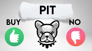 Pit token. Should you buy Pitbull coin?