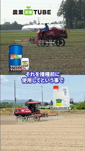 生産者の本音 大豆畑にまん延する帰化アサガオ！大豆収穫の危機！その効果的な対策方法と驚きの効果とは！？ #農業 #ulv5 #農業機械 #除草剤 #アサガオ