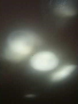 Sunday September 18, 2022 of Bunnytown Hello Bunnies! trailer in high pitched in normal 1x