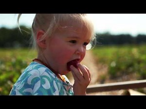 How to Pick Strawberries