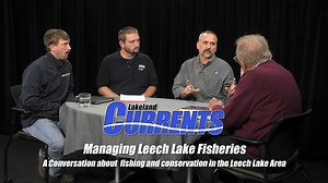 Lakeland Currents: Managing Leech Lake Fisheries