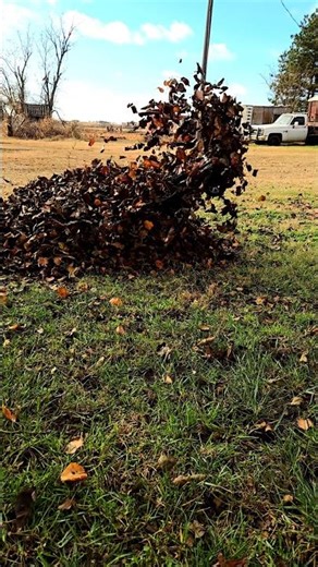 Rustler 4x4 vs Leafs #traxxas #rcbasher #traxxasracing #rctruck #traxxasrustler4x4vxl