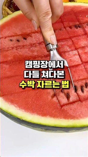 캠핑장에서 다들 쳐다본 수박 자르는 법 #수박칼 #수박자르는칼 #수박커팅기
