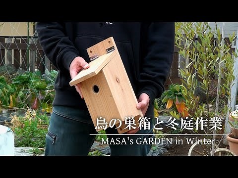 【庭Vlog】簡単なのに頑丈な鳥の巣箱を作る | 今時期の花と庭作業 | ガーデニング | gardening